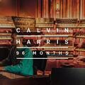Calvin Harris - 96 Months (2 LP)