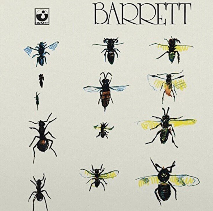 LP plošča Syd Barrett - Barret (180g) (LP)