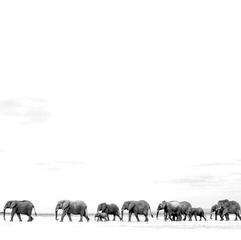 LP ploča Dave Matthews - Where Are You Going: The Singles (2 LP)