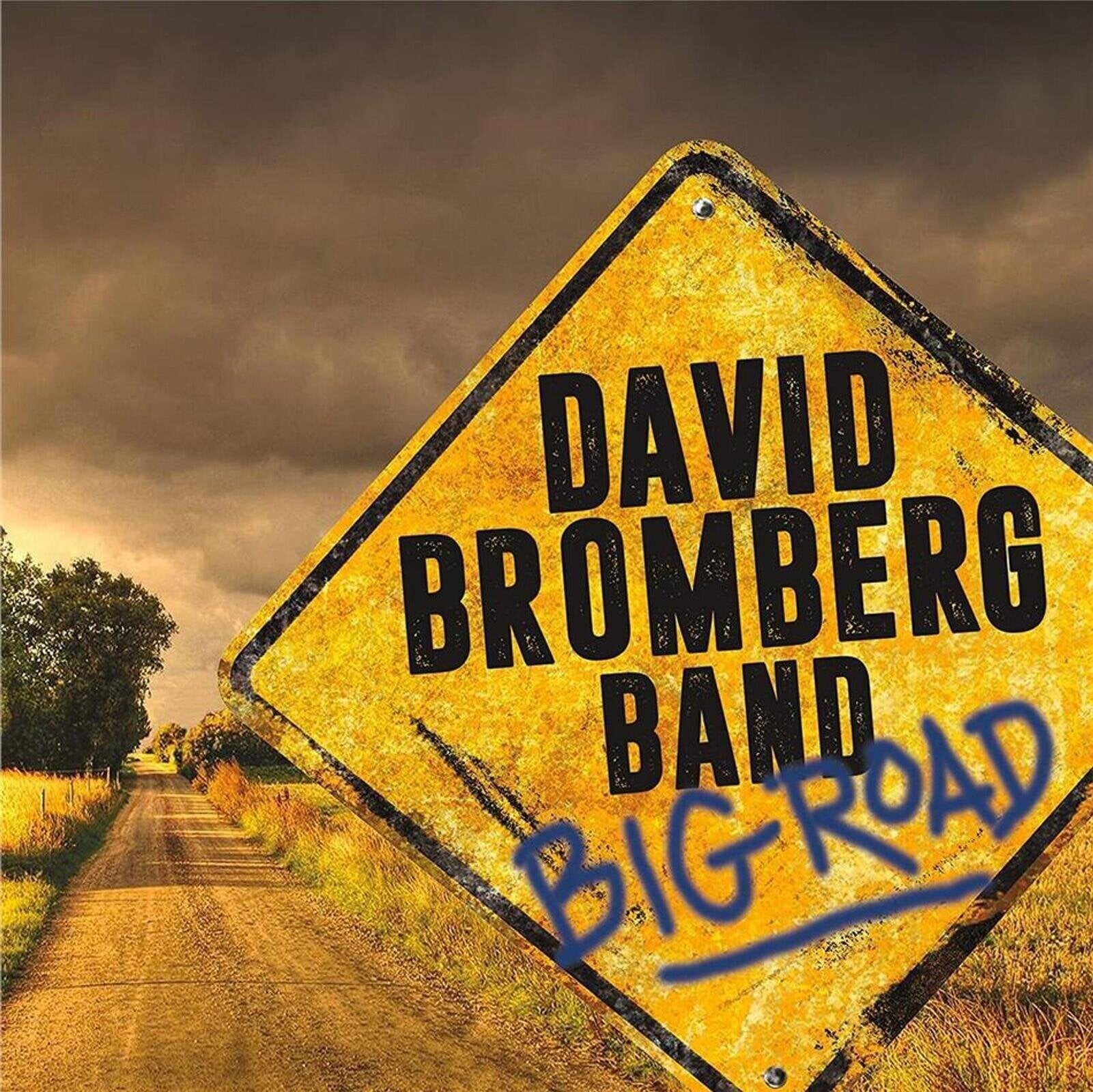 LP ploča David Bromberg - Big Road (LP)