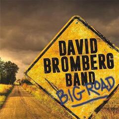 Disco in vinile David Bromberg - Big Road (LP)
