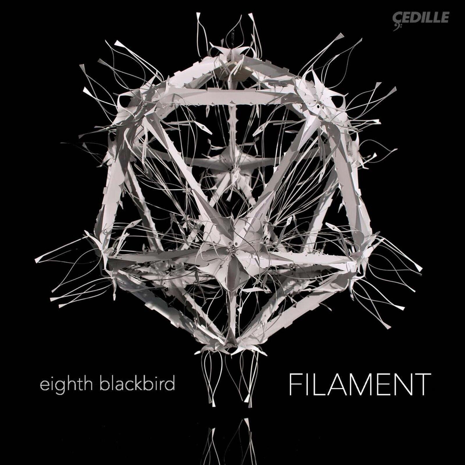 Disco in vinile Dessner / Eighth Blackbird - Filament (LP)
