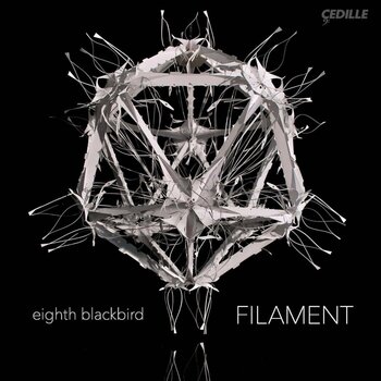 Disco in vinile Dessner / Eighth Blackbird - Filament (LP) - 1