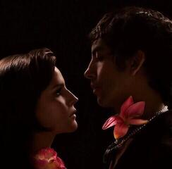 Vinyl Record Buscabulla - Se Amaba Asi (Indie Exclusive) (Clear Coloured) (LP)