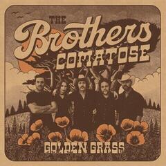 LP ploča Brothers Comatose - Golden Grass (Splattered Orange & Blue Coloured) (LP)
