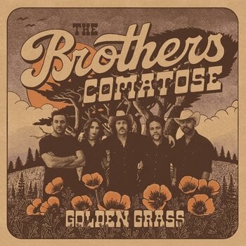 LP plošča Brothers Comatose - Golden Grass (Splattered Orange & Blue Coloured) (LP) - 1