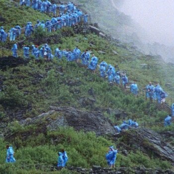 Disc de vinil Courtney Barnett - End Of The Day (Milky Clear Coloured) (LP) - 1