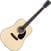 Dreadnought Guitar Pasadena PD-100 Natural Dreadnought Guitar
