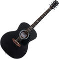 Pasadena PG-100 Black Guitare acoustique Jumbo