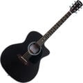 Pasadena PGC-100 Black Guitare acoustique Jumbo