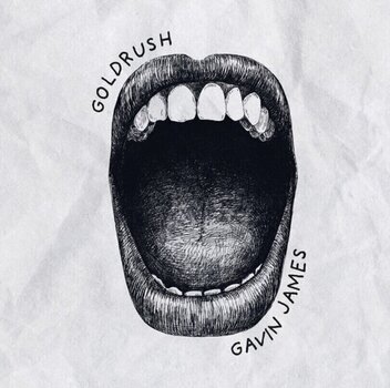 Hanglemez Gavin James - Goldrush (LP) - 1