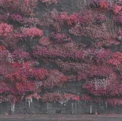 LP plošča Sleep Token - Even In Arcadia (Indie Exclusive) (Clear Smoke Coloured) (2 LP)