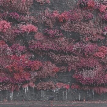 Schallplatte Sleep Token - Even In Arcadia (Indie Exclusive) (Clear Smoke Coloured) (2 LP) - 1