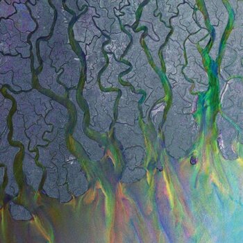 Disco in vinile alt-J - An Awesome Wave (LP) - 1