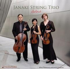 Schallplatte Janaki String Trio - Debut (LP)