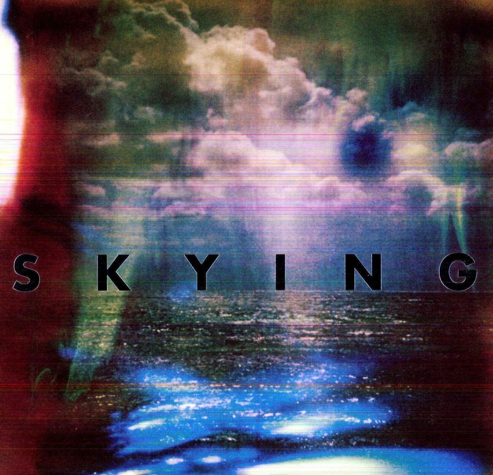 Disco de vinil The Horrors - Skying (2 LP)