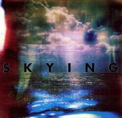 Vinyl Record The Horrors - Skying (2 LP)