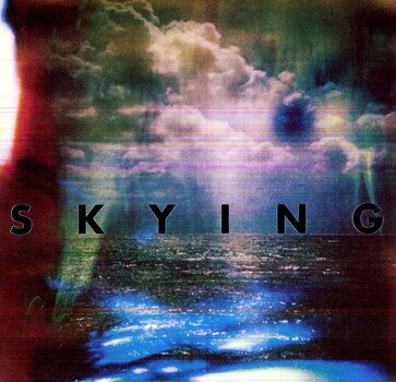Disco de vinil The Horrors - Skying (2 LP) - 1