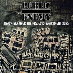 Muzički CD Public Enemy - Black Sky Over The Projects: Apartment 2025 (CD)