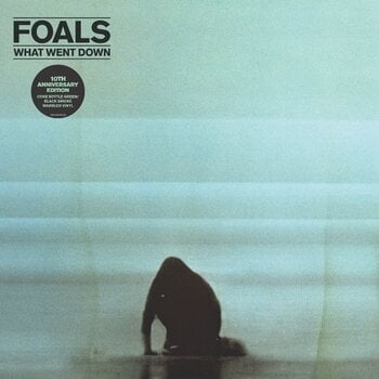 LP ploča Foals - What Went Down (Anniversary Edition) (Limited Edition) (Coke Bottle Green Coloured) (LP) - 1