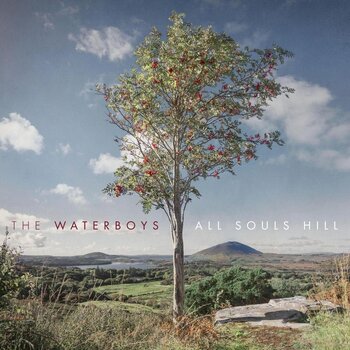 Disc de vinil The Waterboys - All Souls Hill (LP) - 1