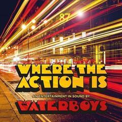 LP ploča The Waterboys - Where The Action Is (Gatefold Sleeve) (LP)