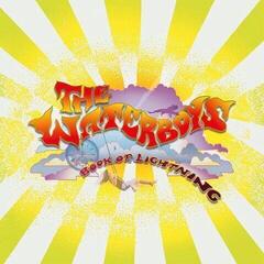 LP ploča The Waterboys - Book Of Lightning (Sunrise Yellow Coloured) (LP)