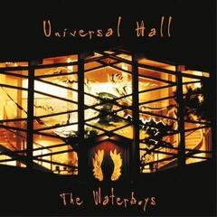 LP ploča The Waterboys - Universal Hall (Orange Coloured) (LP)