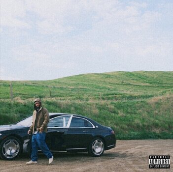 Płyta winylowa Larry June - Doing It For Me (Picture Disc) (LP) - 1