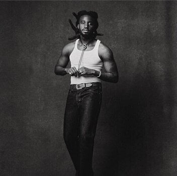 LP plošča Shaboozey - Where I've Been, Isn't Where I'm Going (Gatefold Sleeve) (LP) - 1