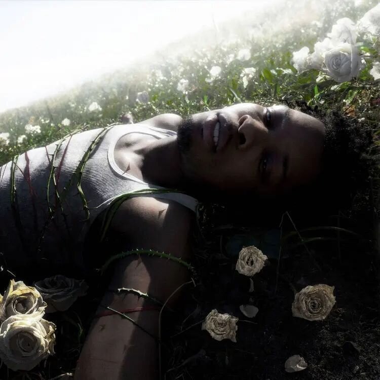 LP platňa D4vd - Withered (Re-press) (LP)