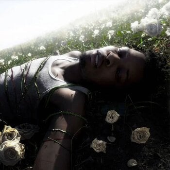 LP platňa D4vd - Withered (Re-press) (LP) - 1