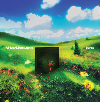 Грамофонна плоча Rainbow Kitten Surprise - Bones (Indie Exclusive) (Banana Yellow Coloured) (LP) - 1