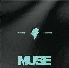 Vinüülplaat Jimin - Muse (Turquoise Coloured) (LP)