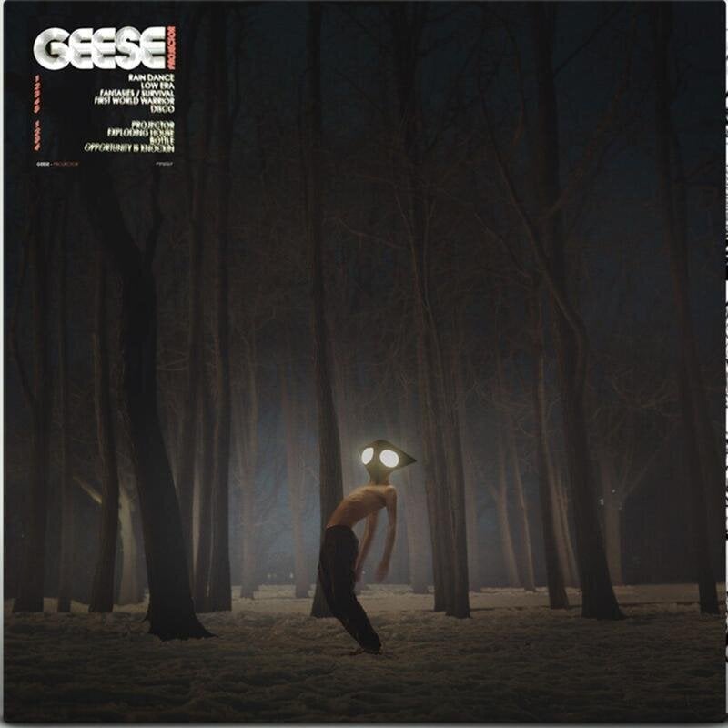 Hanglemez Geese - Projector (LP)