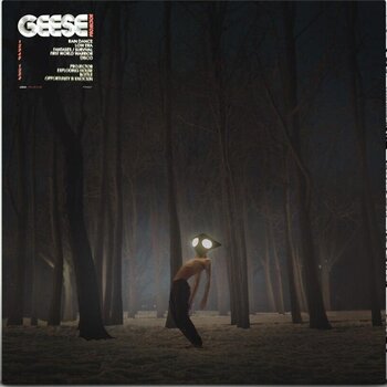Hanglemez Geese - Projector (LP) - 1