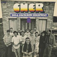 LP ploča Cher - 3614 Jackson Highway (Gatefold Sleeve) (Limited Edition) (Numbered) (Clear & Purple Mixed Coloured) (2 LP)