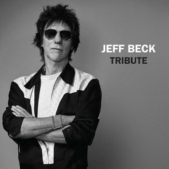 Disc de vinil Jeff Beck - Tribute (LP) - 1