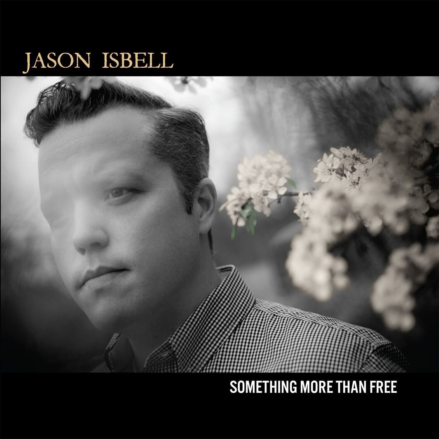 Glasbene CD Jason Isbell - Something More Than Free (CD)