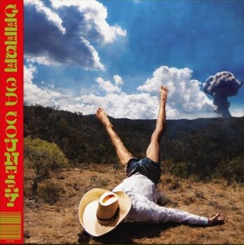 Грамофонна плоча Geese - 3d Country (LP) - 1