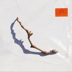 Hanglemez PJ Harvey - I Inside the Old Year Dying (LP)