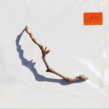 Hanglemez PJ Harvey - I Inside the Old Year Dying (LP) - 1