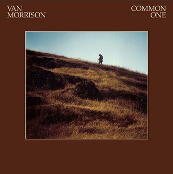 Vinylplade Van Morrison - Common One (Reissue) (LP) - 1