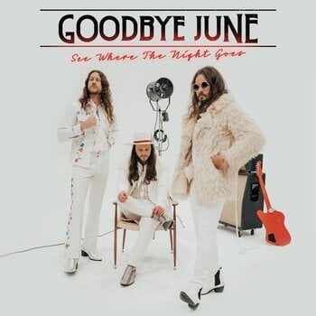 LP ploča Goodbye June - See Where The Night Goes (LP) - 1