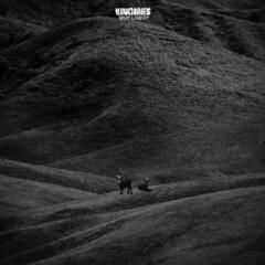 LP platňa Nxworries - Why Lawd (LP)