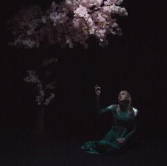 Вінілові платівки Daedric - As The Light Left (Coloured) (LP)