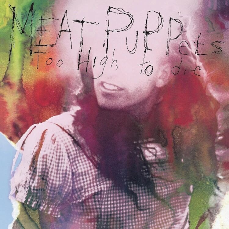 Schallplatte Meat Puppets - Too High To Die (LP)