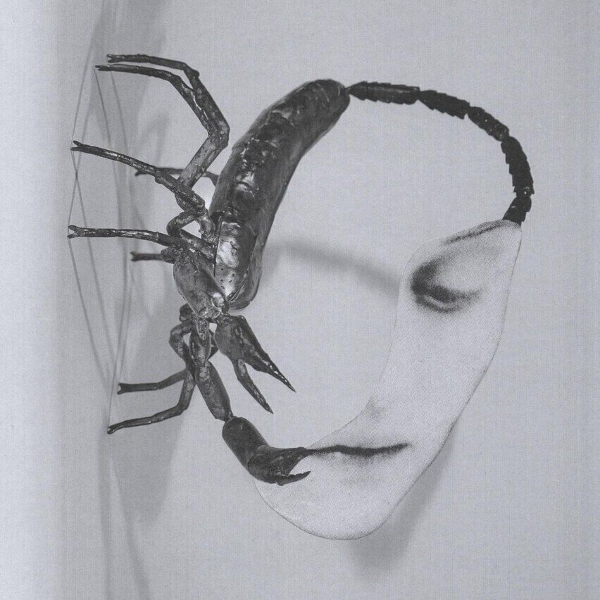 Vinyl Record Tortoise - Touch (LP)