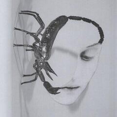 LP ploča Tortoise - Touch (LP)