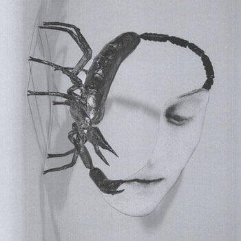 Vinyl Record Tortoise - Touch (LP) - 1